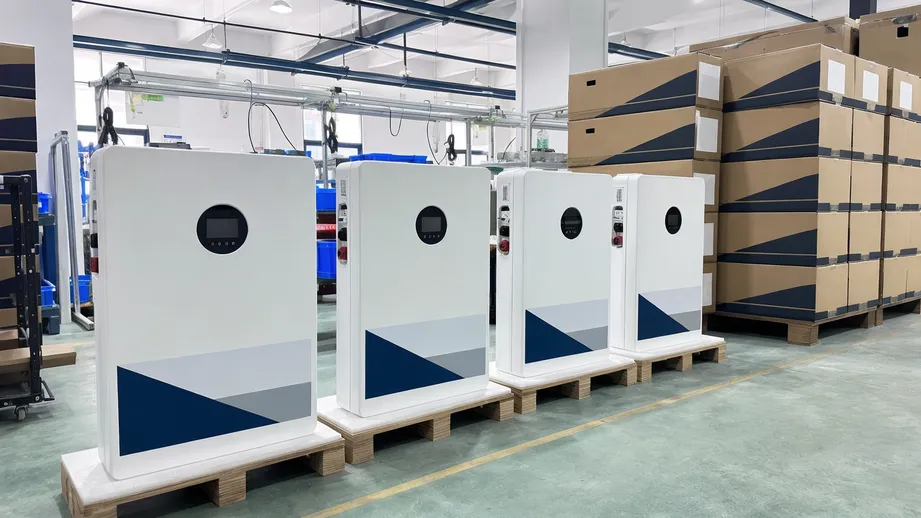 European distributor private-label solar battery program with branded 48V LiFePO4 wall-mounted units