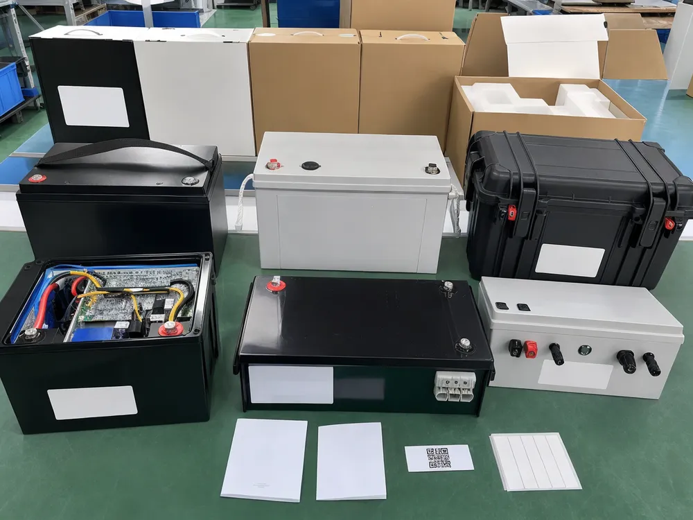 OEM/ODM customization options for 100Ah solar batteries including branding, BMS, enclosure, and terminal configurations